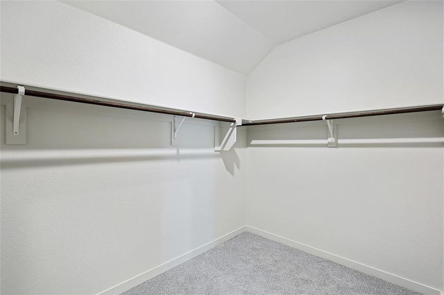 Walk in closet with carpet and vaulted ceiling