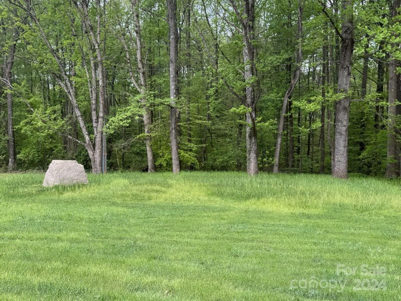 Rear lawn with mature trees at the back for privacy