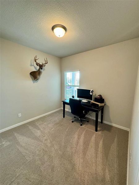 Office with a textured ceiling and carpet flooring