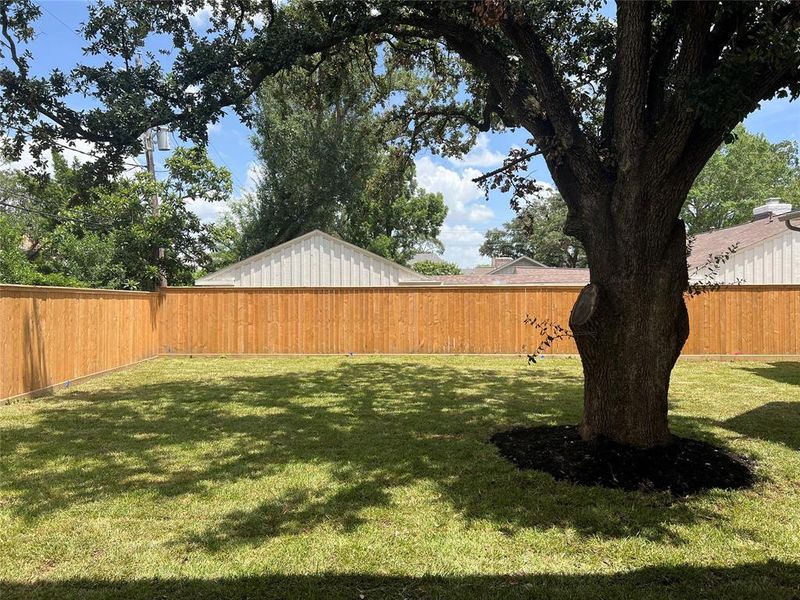 Large backyard with plenty of room for pool.