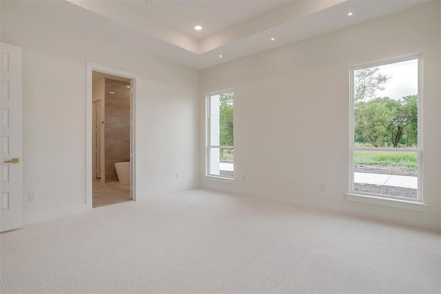 Unfurnished room with plenty of natural light, a tray ceiling, and light colored carpet