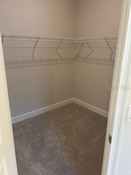 Walk In Closet