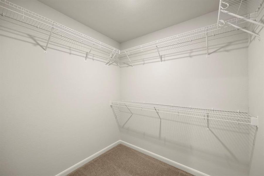 Carpeted walk-in closet.