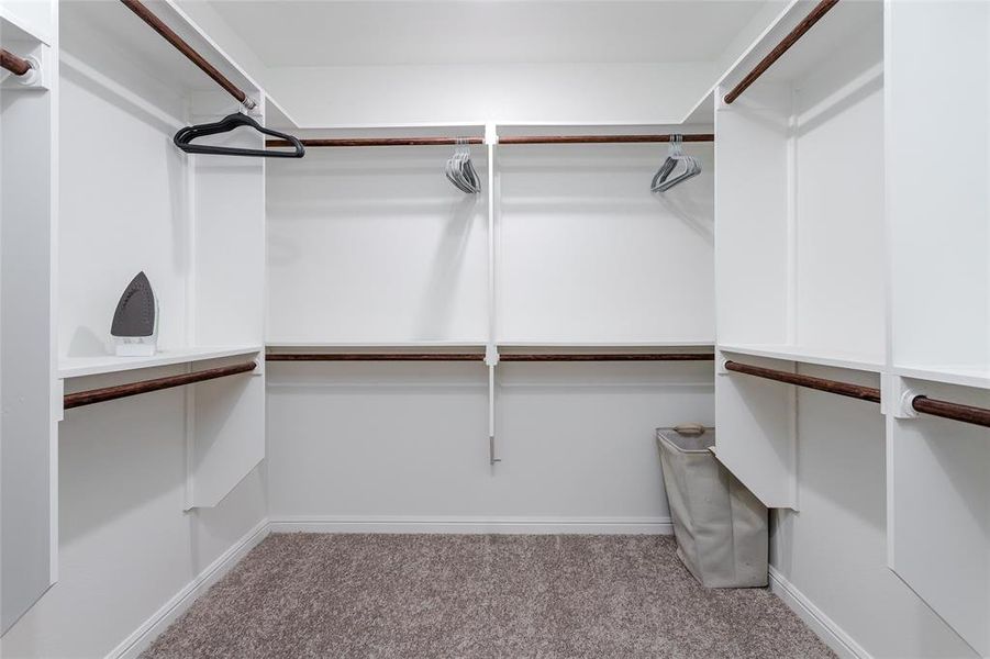 Spacious closet featuring light carpet