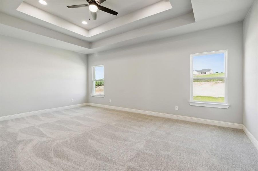 Carpeted spare room with ceiling fan, a tray ceiling, and plenty of natural light