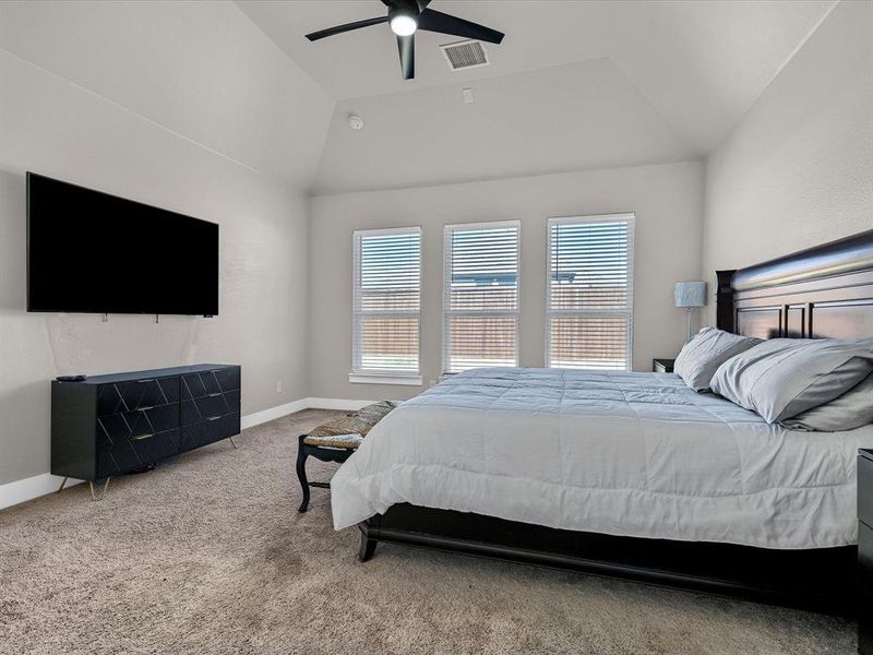 Carpeted bedroom featuring lofted ceiling and ceiling fan