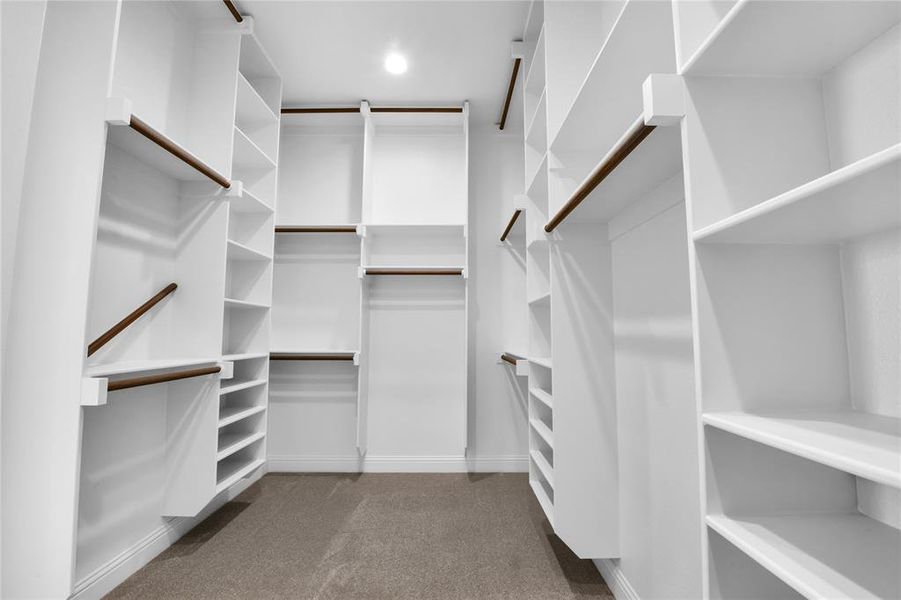 Spacious closet featuring carpet