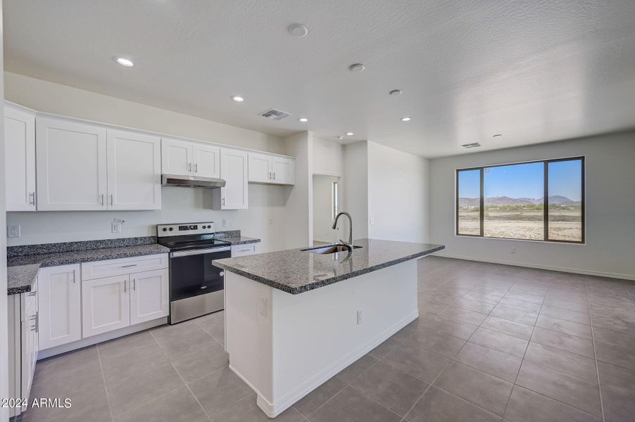 Modern Kitchen with Upgrades