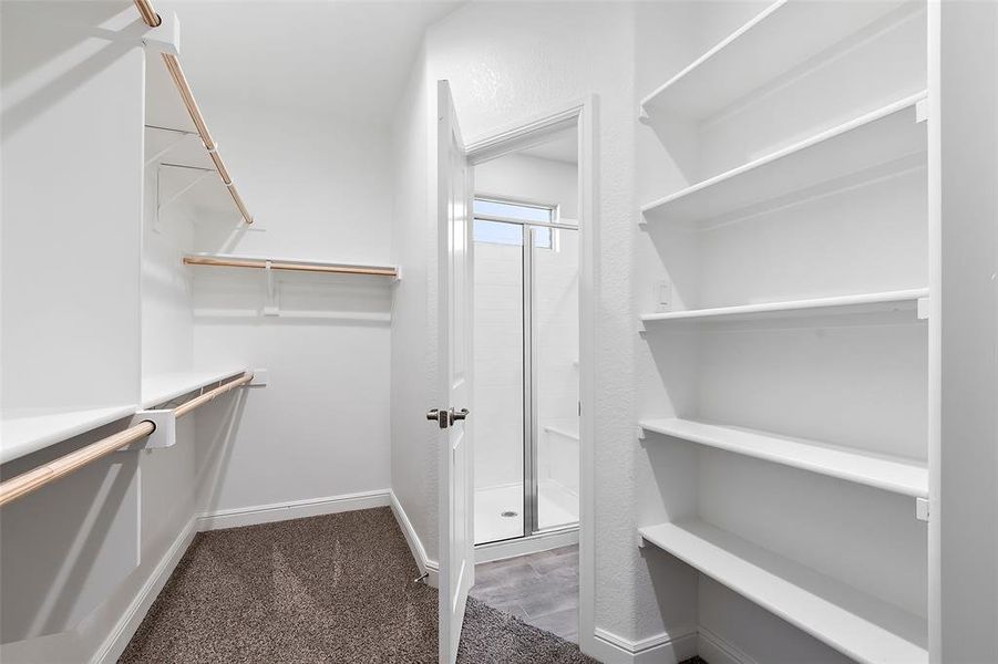 Spacious closet with dark colored carpet