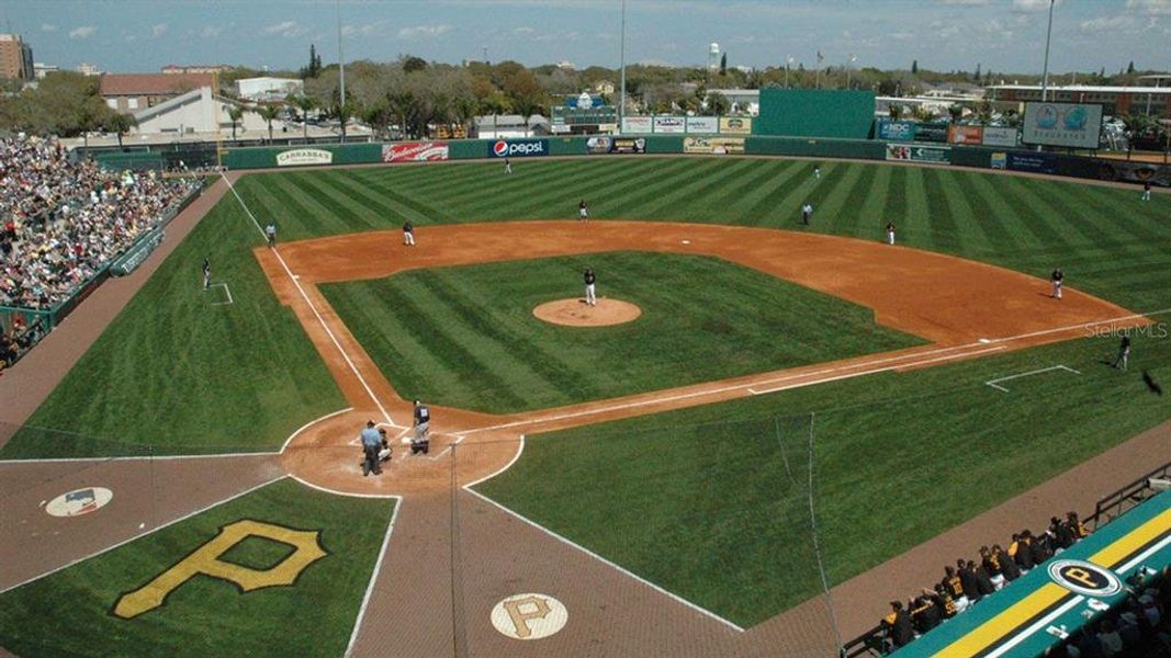 Bradenton Marauders