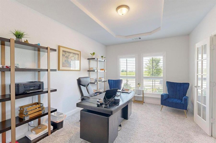 Carpeted office featuring a raised ceiling