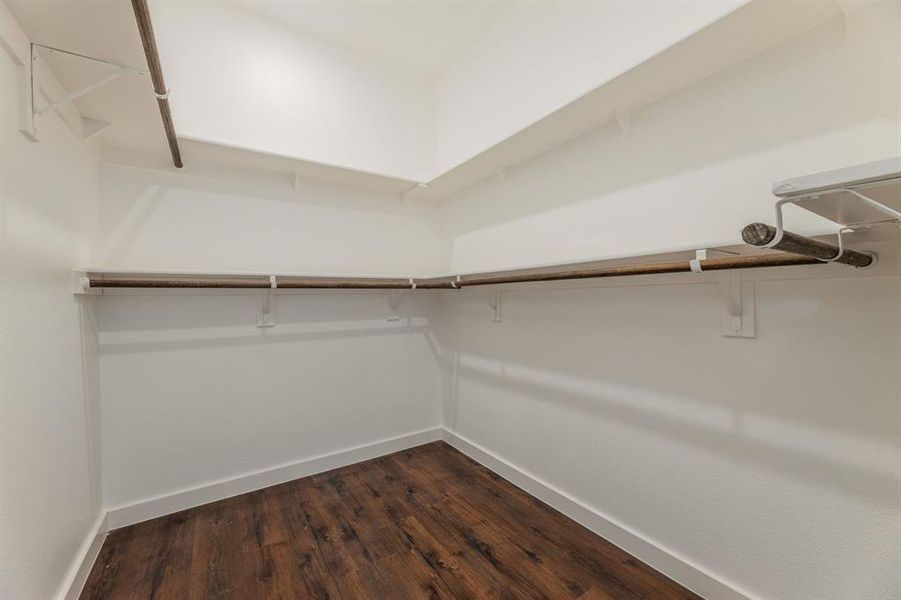 Walk in closet with dark hardwood / wood-style floors