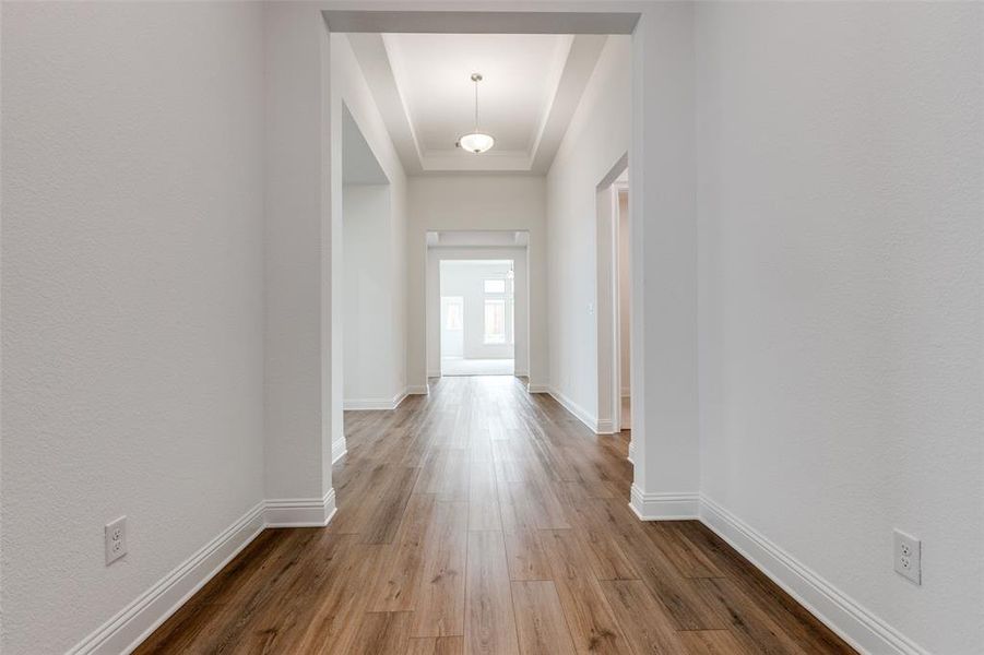 Hall featuring a tray ceiling and hardwood / wood-style flooring