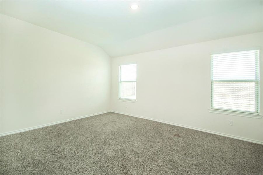 Empty room with carpet, lofted ceiling, and a wealth of natural light