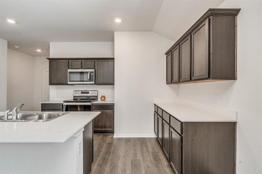 Kitchen featuring dark brown cabinets, dark wood-type flooring, sink, vaulted ceiling, and appliances with stainless steel finishes