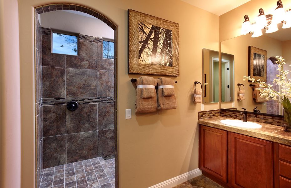 Owner's Bathroom