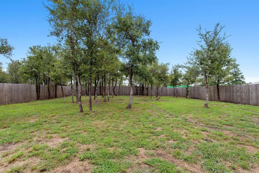 Panning a generous 0.33-acre lot, this outdoor space is dotted with mature trees, providing both shade and a serene backdrop.