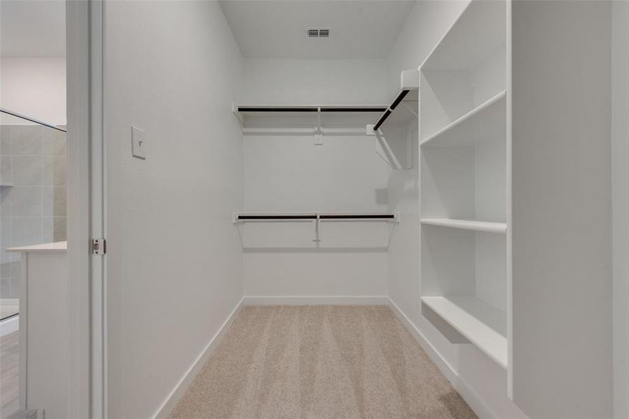 Spacious closet featuring light colored carpet