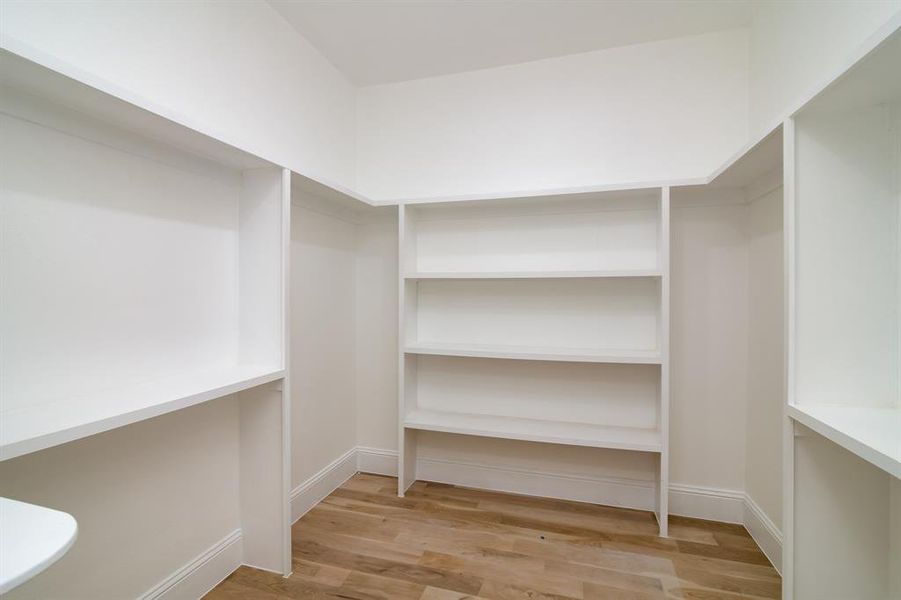 Spacious closet featuring light hardwood / wood-style flooring