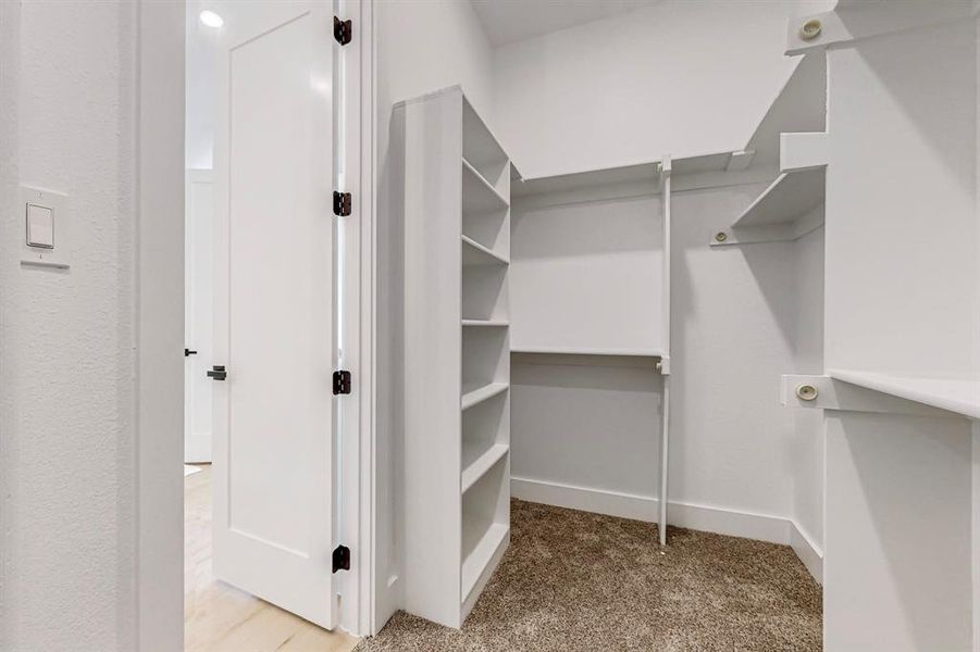 Main Spacious closet with carpet flooring