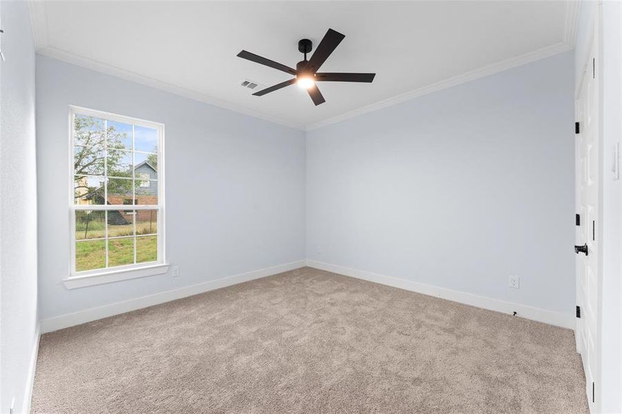 Carpeted spare room with crown molding and ceiling fan