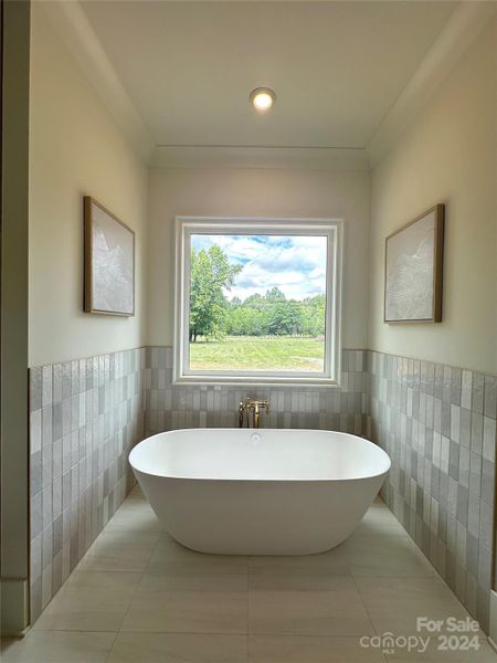 Primary Ensuite Tub