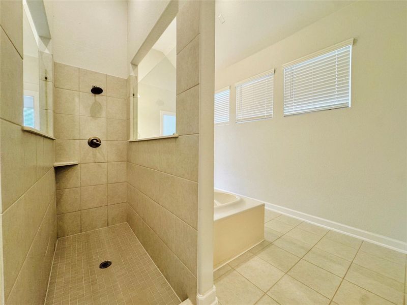 Big walk-in standing shower