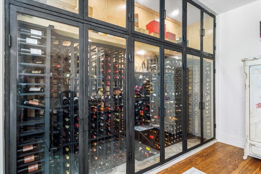 Wine area featuring dark hardwood / wood-style flooring