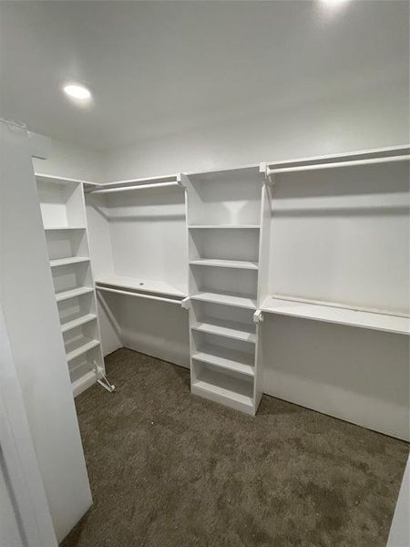 Spacious closet featuring dark carpet