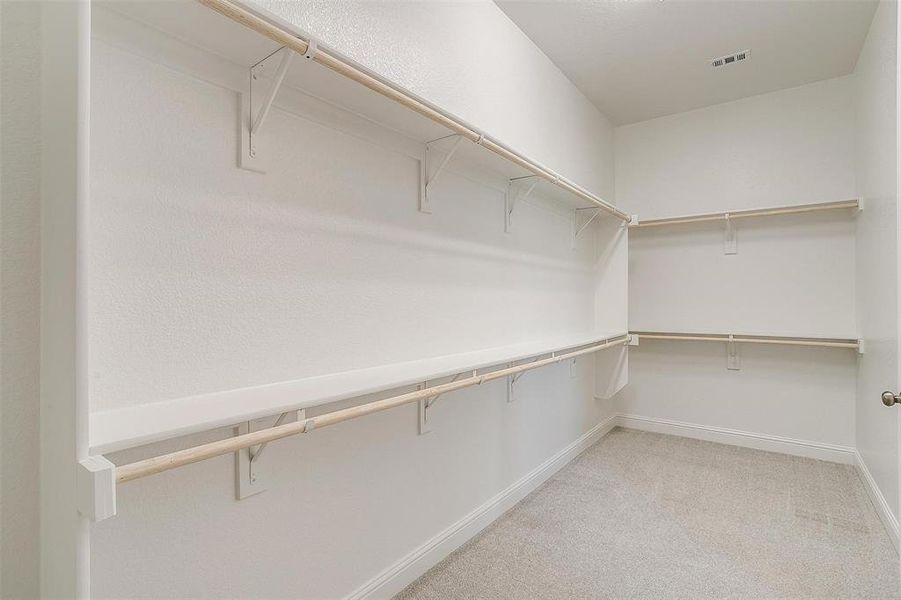 Spacious closet featuring light colored carpet