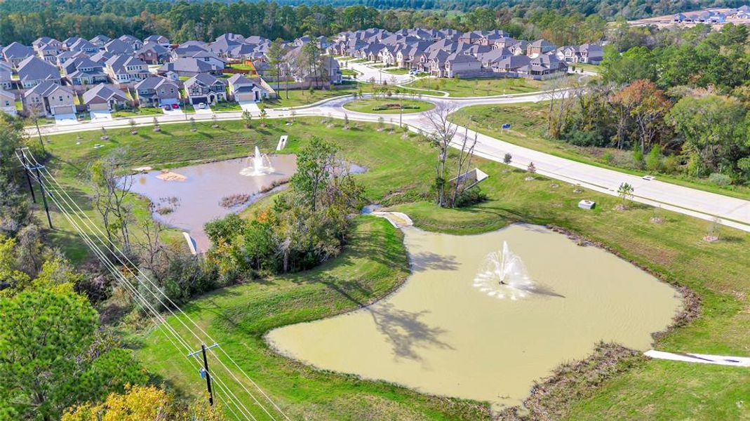Pine Lake Cove - Traditional Series by Meritage Homes in Montgomery - photo
