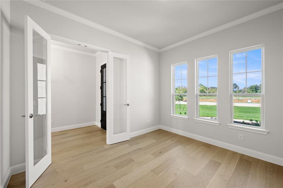 Spare room with a wealth of natural light, light hardwood / wood-style floors, and crown molding