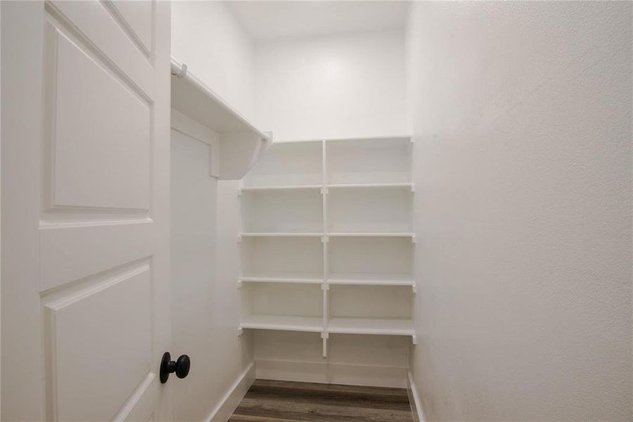 Spacious closet featuring dark hardwood / wood-style floors