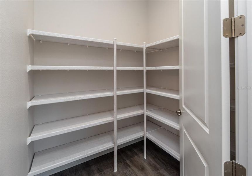 Walk in pantry with wood shelving