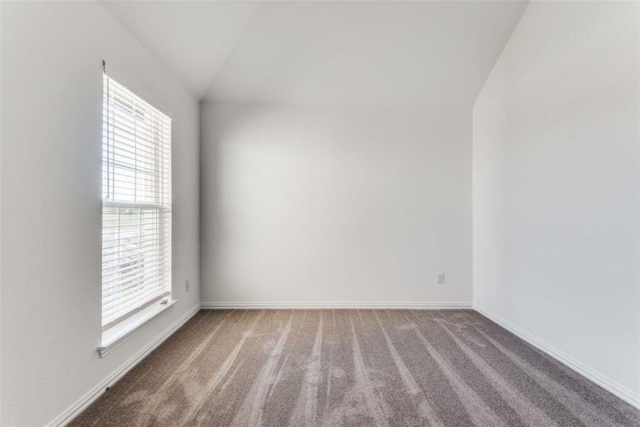 Carpeted empty room with plenty of natural light and lofted ceiling