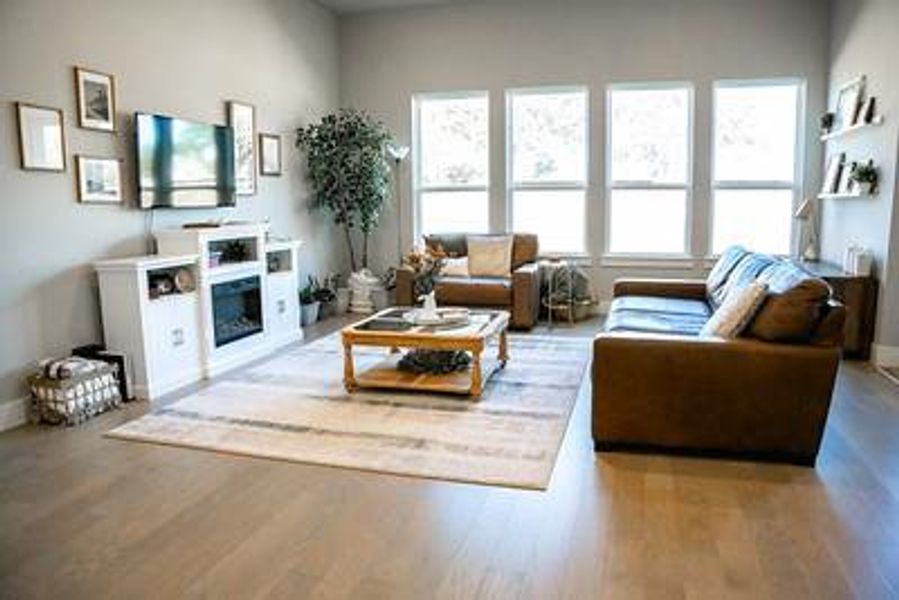 Living room featuring light hardwood / wood-style flooring and a wealth of natural light