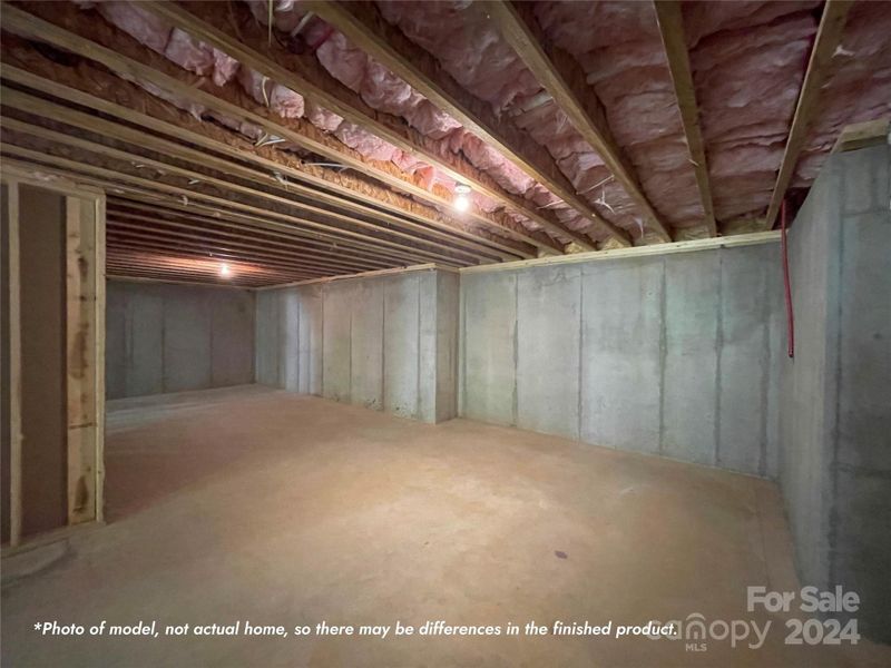 Unfinished Basement