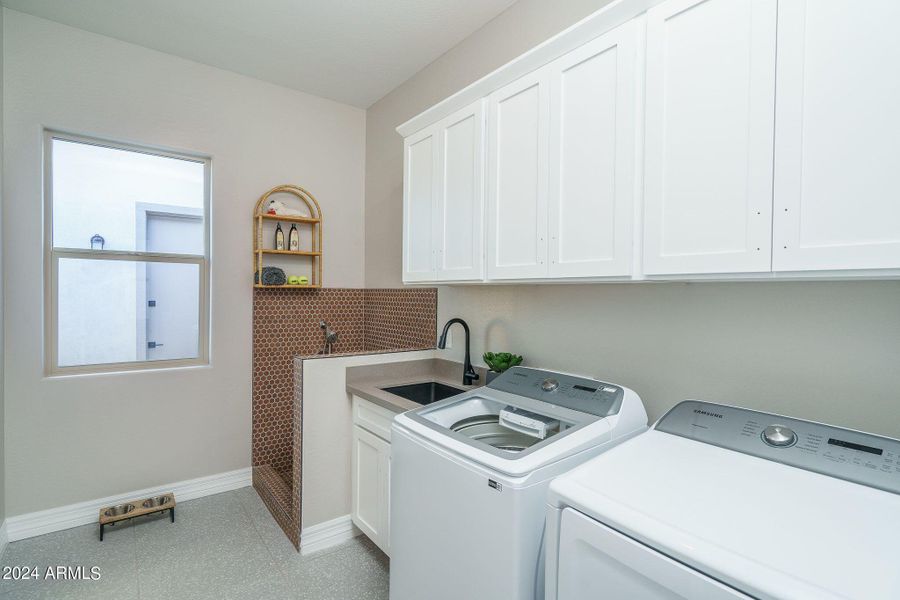 Orion laundry room with pet shower