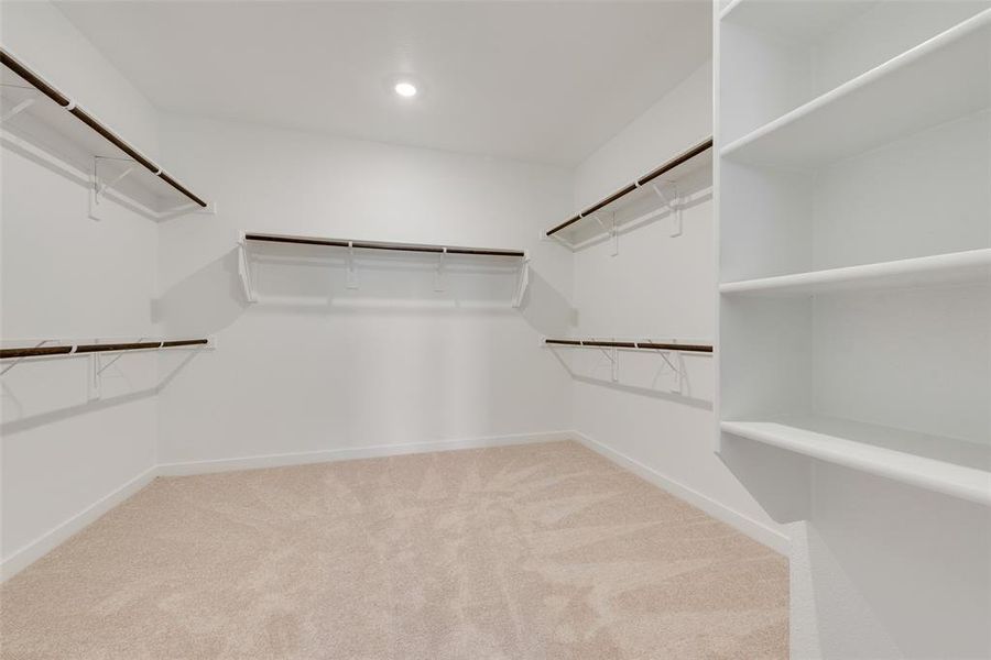 Spacious closet with light carpet