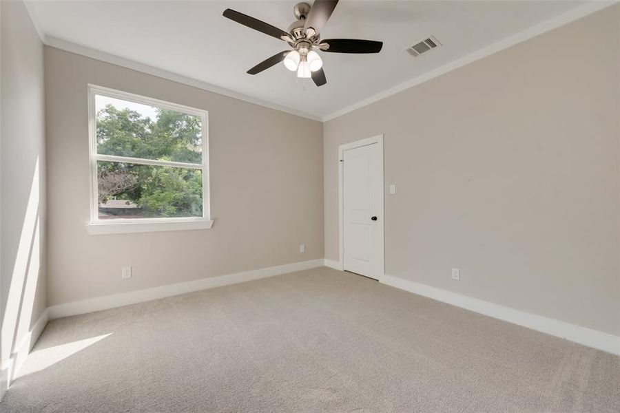 Carpeted spare room with ceiling fan and ornamental molding