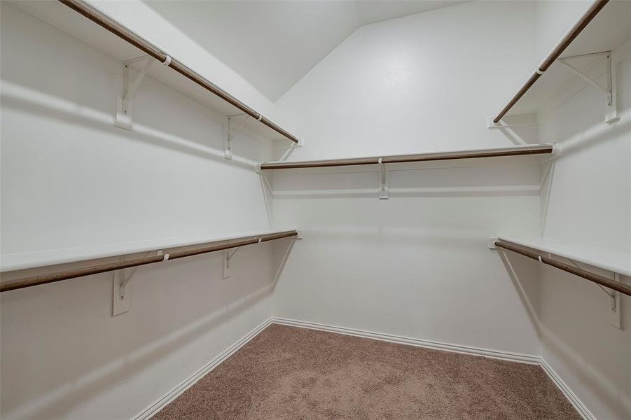 Spacious closet with carpet and vaulted ceiling