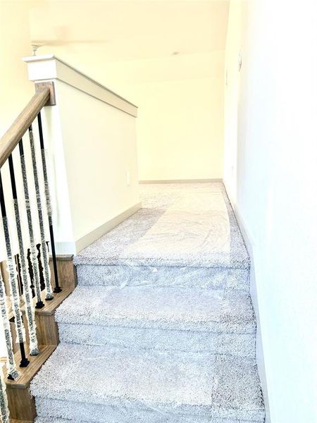 Stairs with carpet flooring