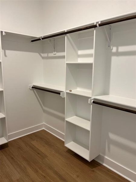 Spacious closet with dark wood-type flooring