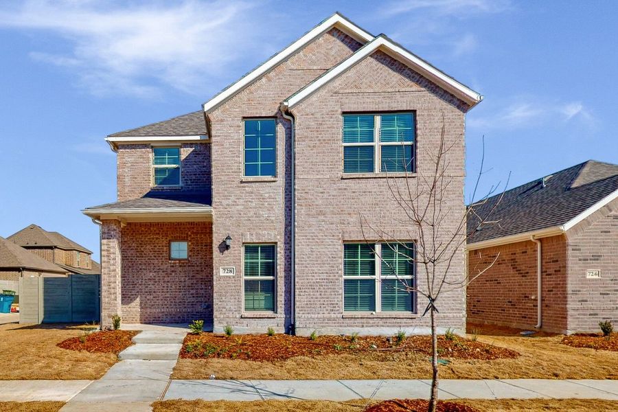 New construction Single-Family house Hyacinth, 1702 Cherokee Rose Trail, Garland, TX 75042 - photo