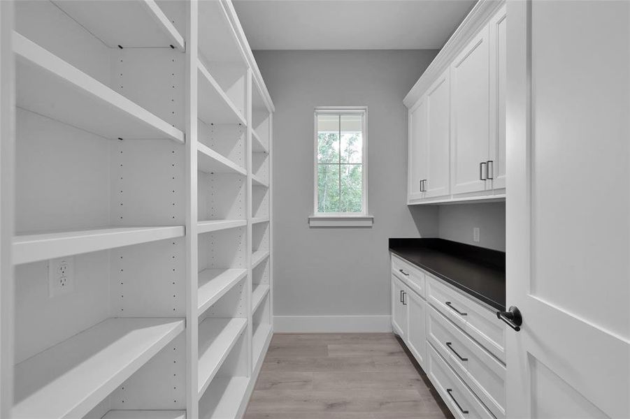 pantry off kitchen with adjustable shelves