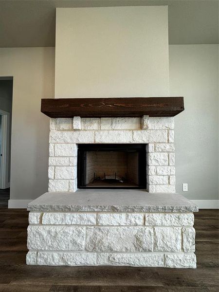 Interior details with wood-type flooring and a stone fireplace