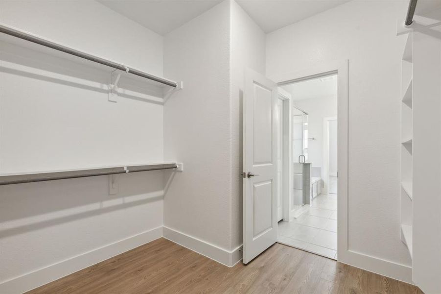 Walk in closet featuring light hardwood / wood-style floors