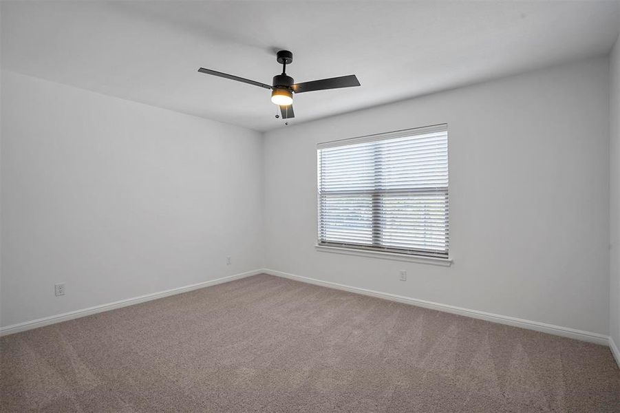 Unfurnished room featuring ceiling fan and carpet