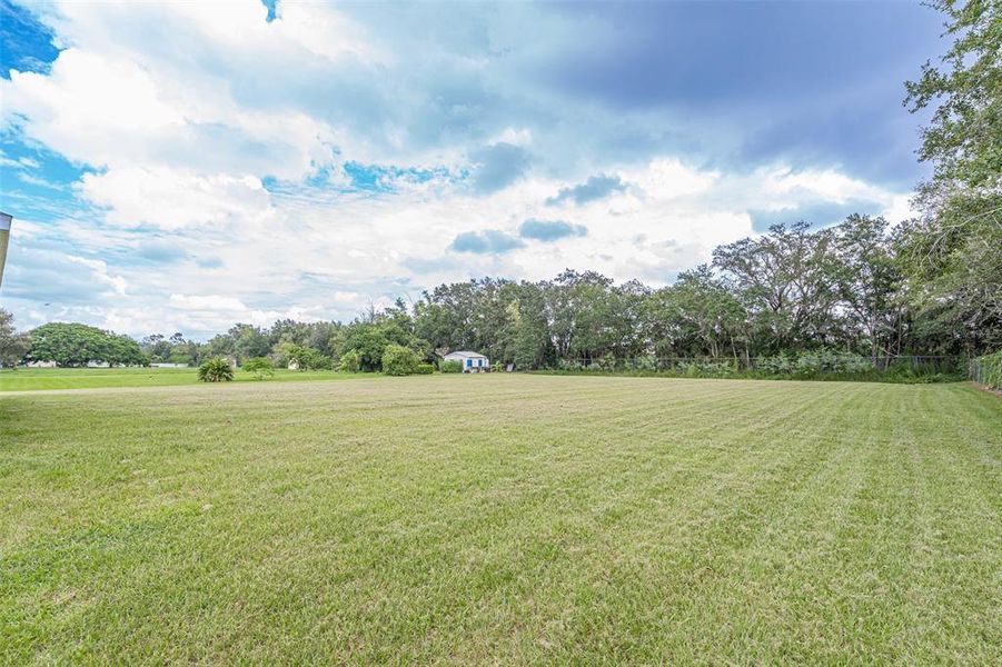 Backyard - Property is 1 acre