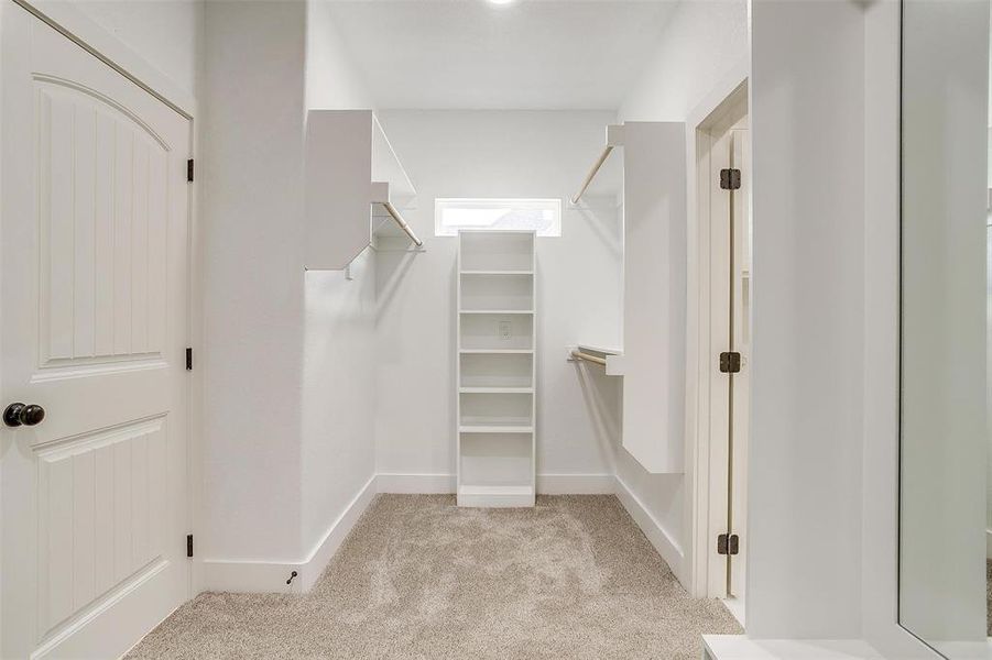 Walk in closet featuring light colored carpet